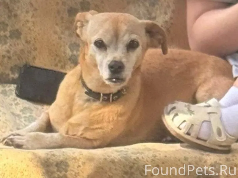 Добрый день. Вчера 1 января пр...