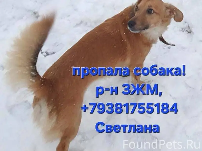 Пожалуйста, помогите найти! Ро...