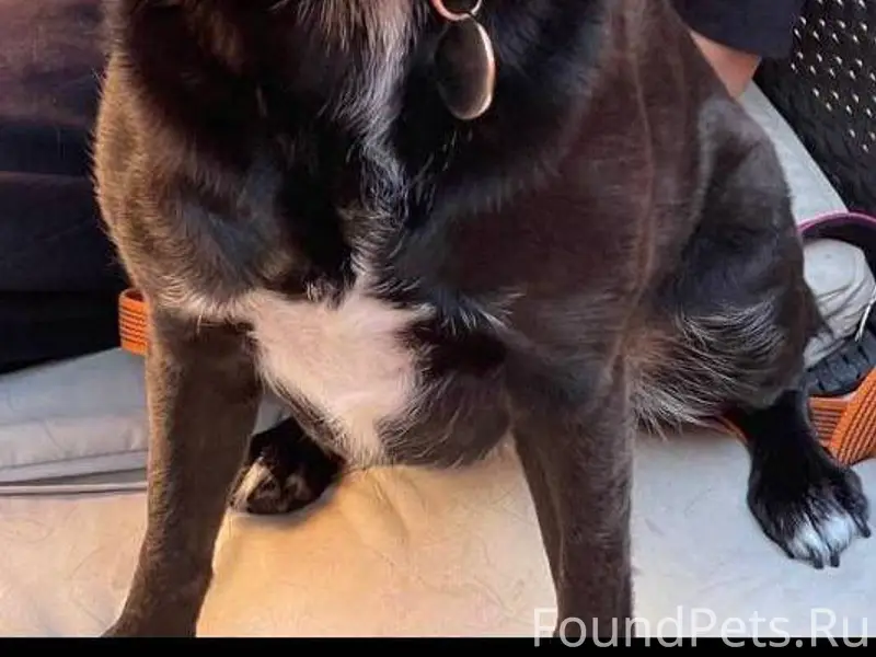 ⚠🆘Мы обращаемся ко всем, кто м...