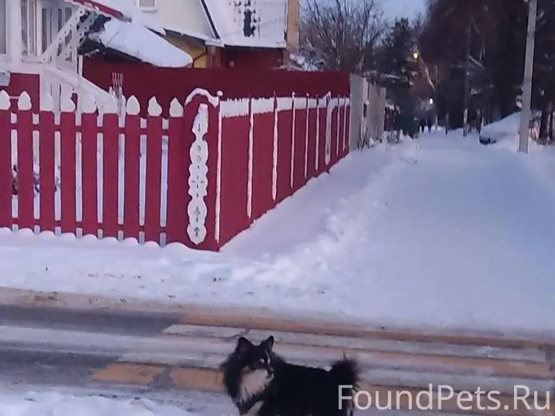 На улице Ленина, 137 была заме...