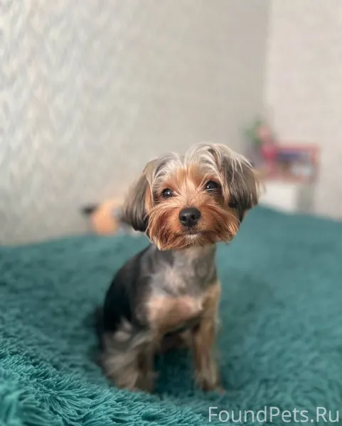 Всё, как обычно! Но вдруг кто....