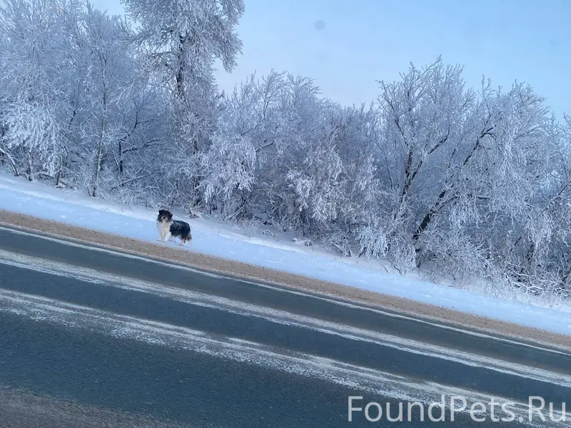 Срочно!!! Сегодня на трассе Бу...