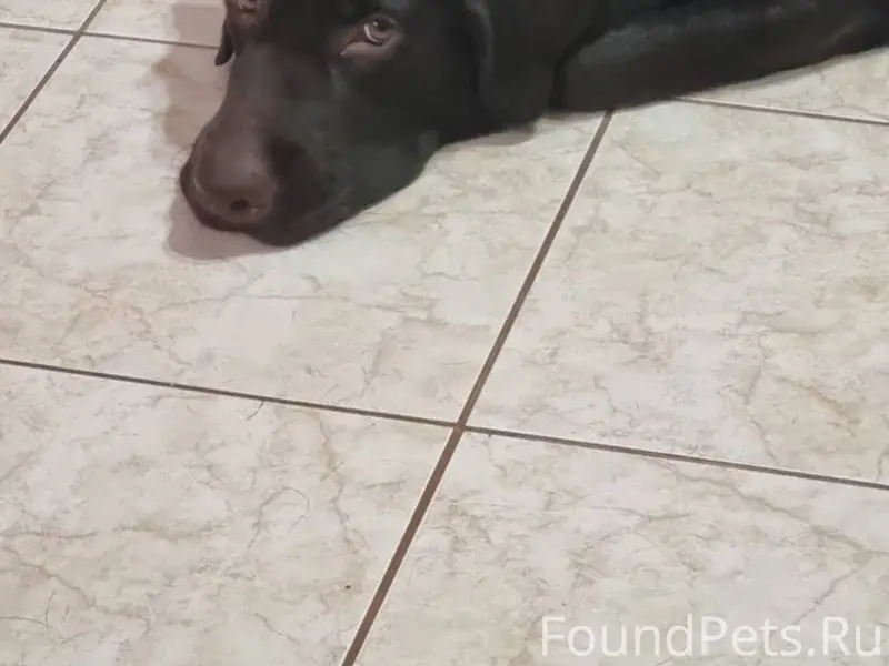 При аварии на мосту р. Винная....