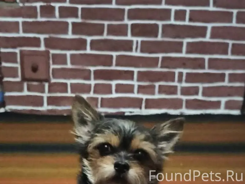 1 января в районе 11 часов...