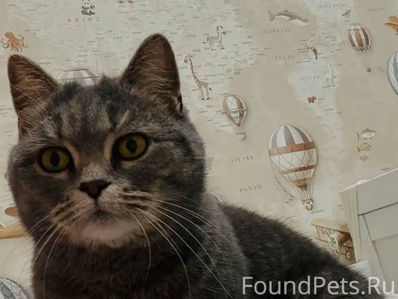 Друзья, нужна помощь! Найдена ...