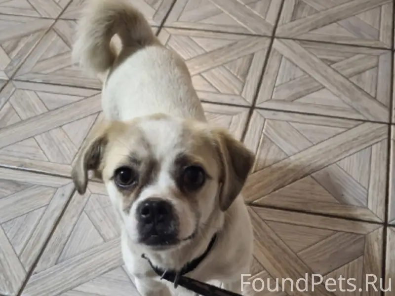 В ночь с 1 на 2...