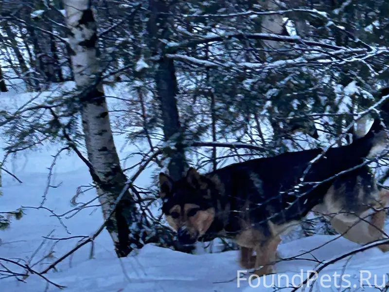 Здравствуйте, у меня пропала с...