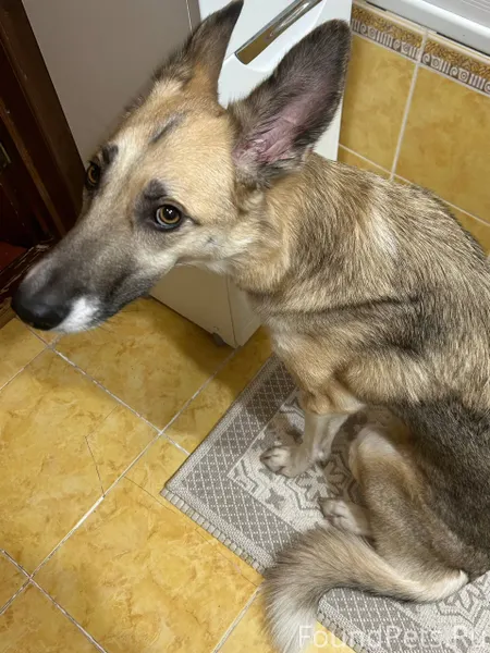 Кому праздники и веселье, а ко...