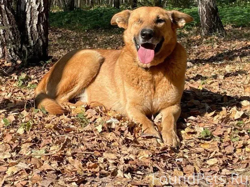 #Соколово, КП #ИстраПарк, КП #...