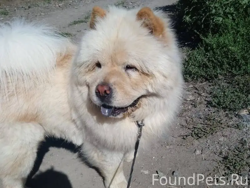 В ночь с 31 на 1...