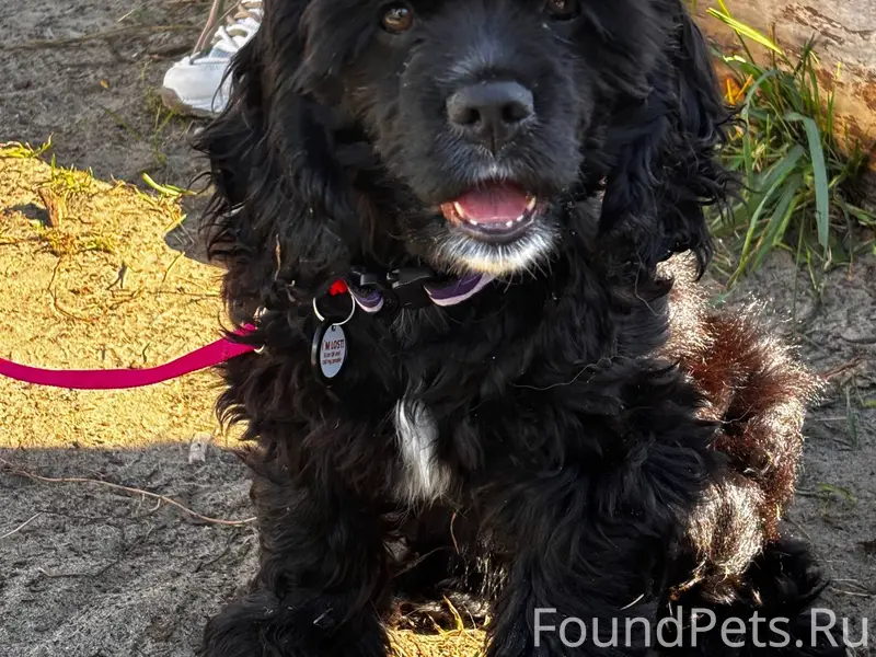 Очень прошу помощи, вчера в ра...