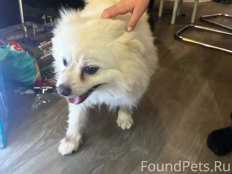 Помогаю информационно! Репост,...