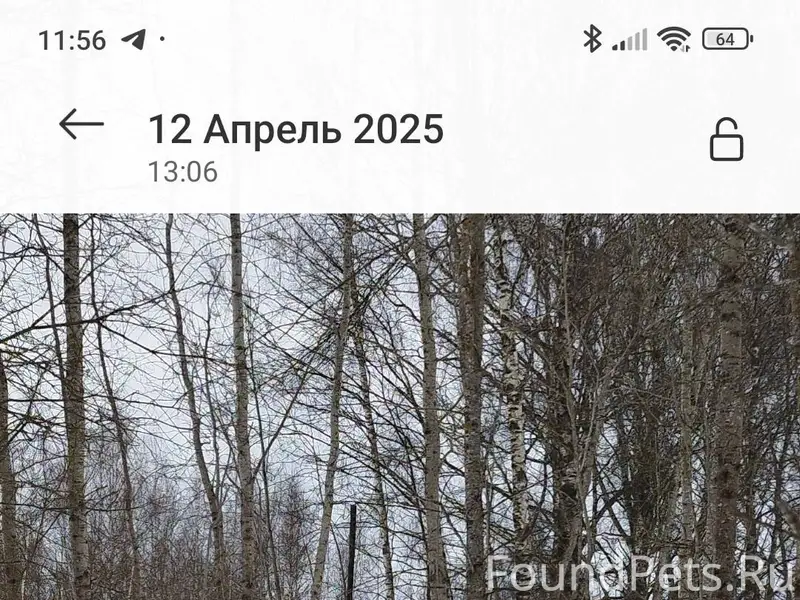 Если есть возможность, размест...