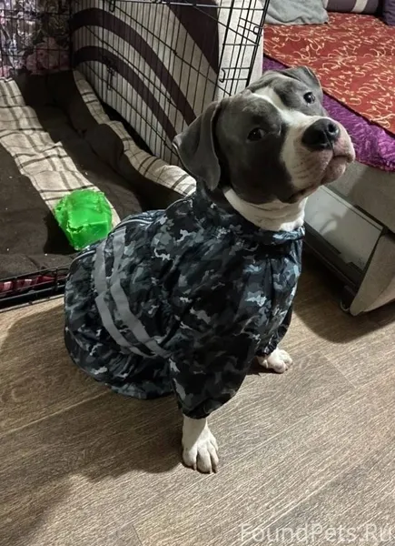 Добрый вечер , ищем неравнодуш...