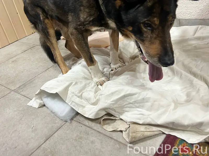 Сегодня 01.01.26 на трассе...