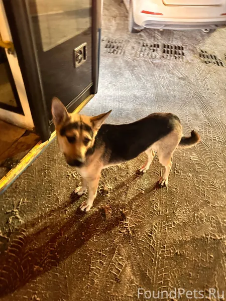 Опубликуйте пожалуйста На Оста...