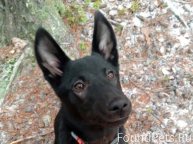 ‼️‼️‼️ВНИМАНИЕ ‼️‼️‼️ МАКСИМАЛ...