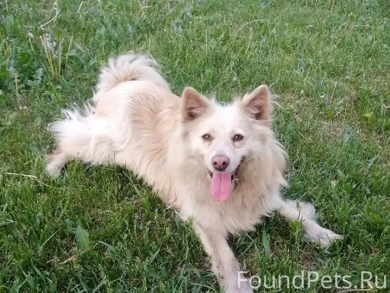 31.12.2025г около 18 часов...