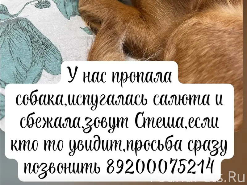 🆘Внимание! 🆘Ясенцы, Ворсма!🆘 В...
