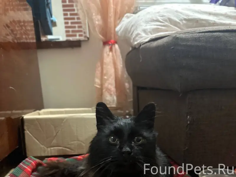 Сделайте первое доброе дело в ...