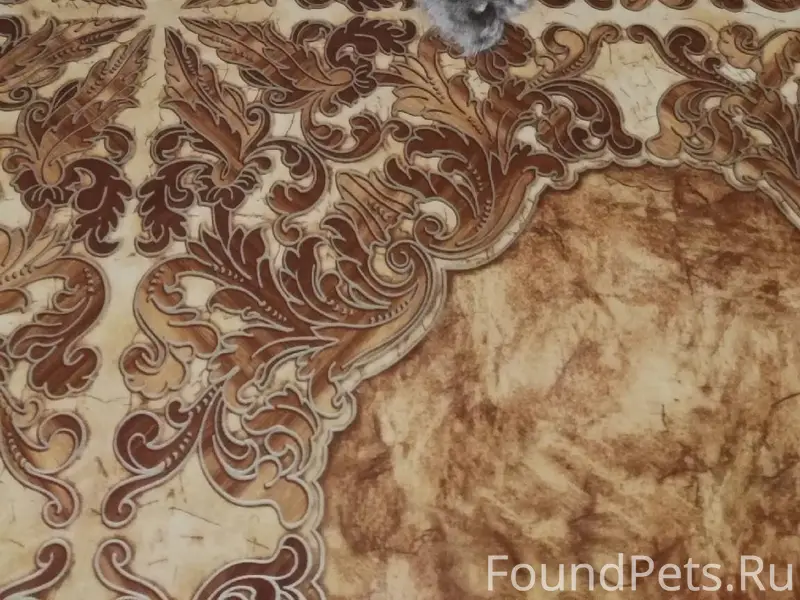 Пропал кот. Откликается на кли...