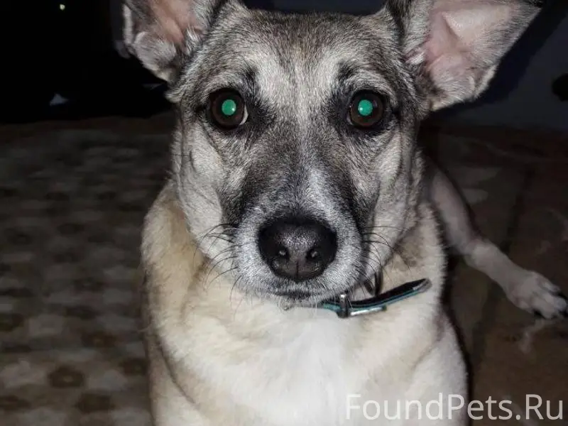 🆘️🆘️🆘️🆘️🆘️🆘️🆘️🆘️🆘️🆘️🆘️🆘️🆘️🆘️🆘️...