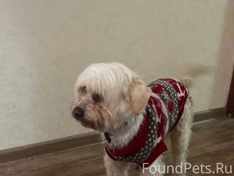 ‼️‼️ПЯТИГОРСК‼️‼️ Пост от перв...