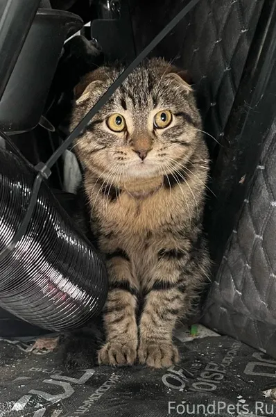 Д.Липна .Петушинский район. На...