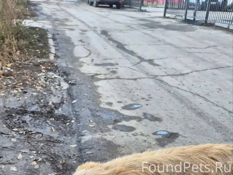 20.01.26г. Друзья! Если увидит...