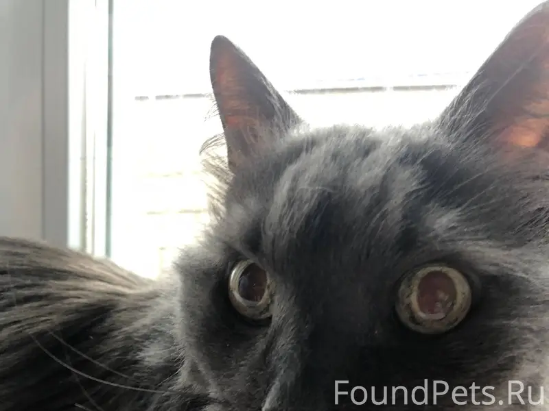 Елец!!!! В районе новые дома н...