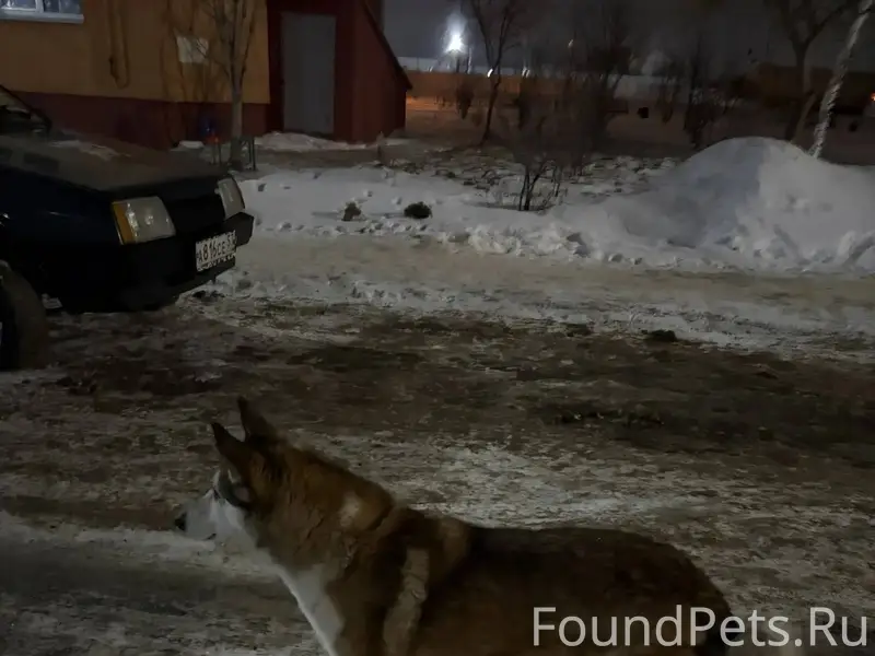 На улице бульвар молодежи 1 бр...