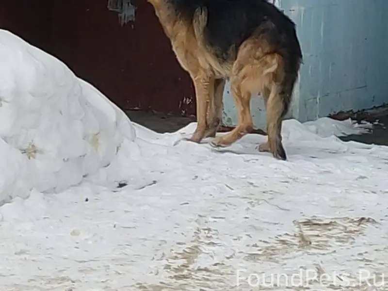 #Воскресенск Во дворе ул. Побе...