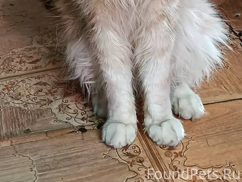 Админ , пропусти пожалуйста. В...