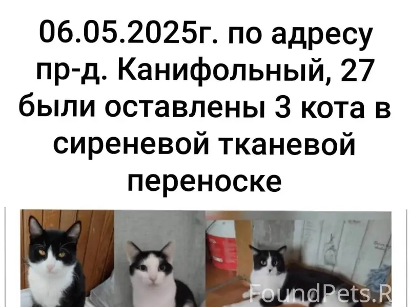 Здравствуйте! Может кто-то ещё...