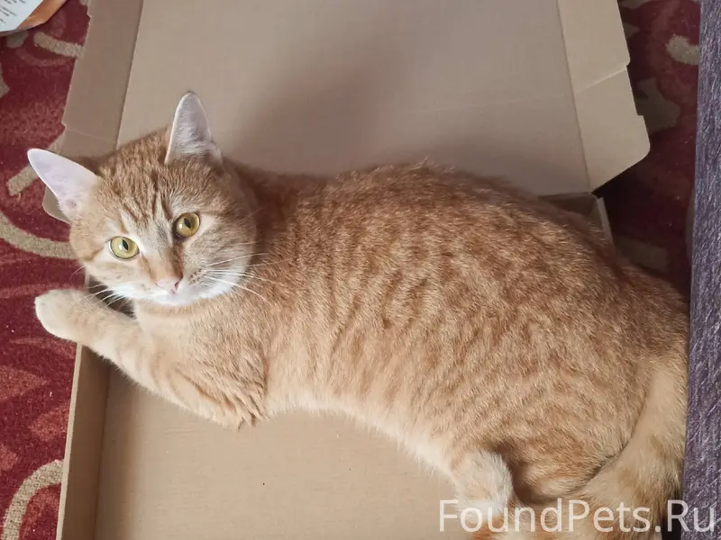 На ул. Станционная (Луна) проп...