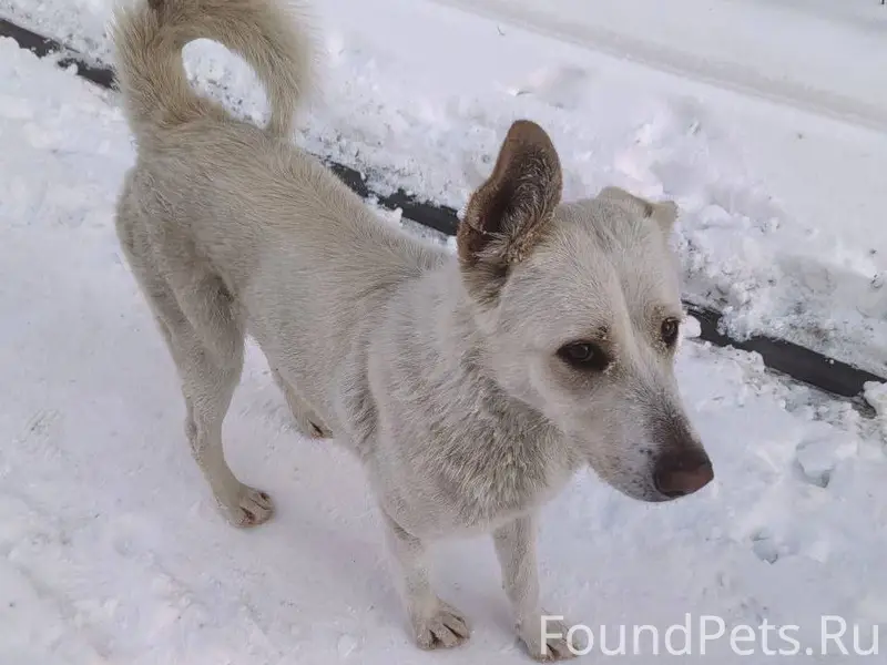 ‼️‼️ИНФОРМАЦИЯ ИЗ ТГ‼️‼️ 🆘🆘🆘🆘🆘...