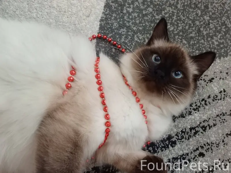 ВНИМАНИЕ❗ 19 января в с. Троиц...