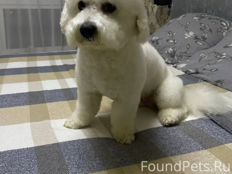 Здравствуйте, может получится ...