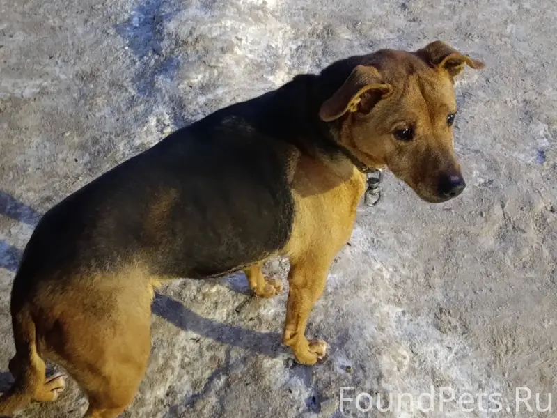 Возле 5-й пожарки на Дружбе...