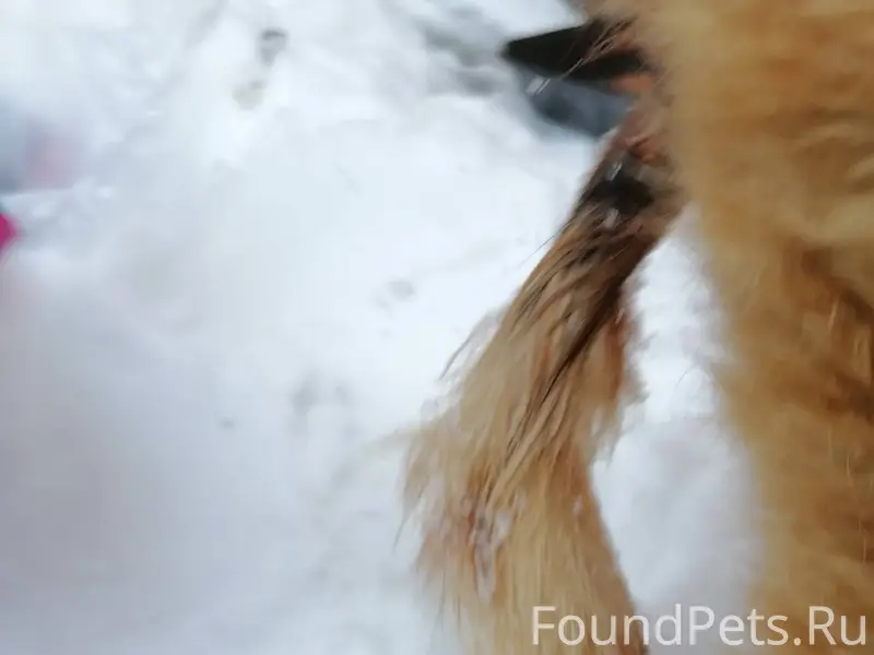 Здравствуйте мои дорогие друзь...