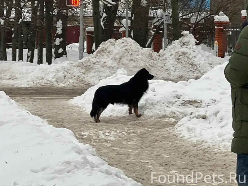 Добрый день! В районе Ленина 2...