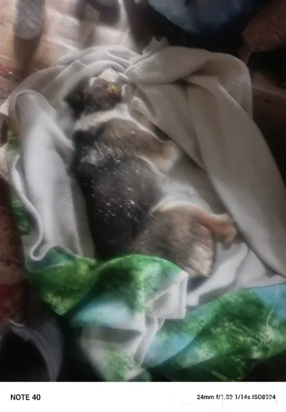 Конец дня, и вот – еще...