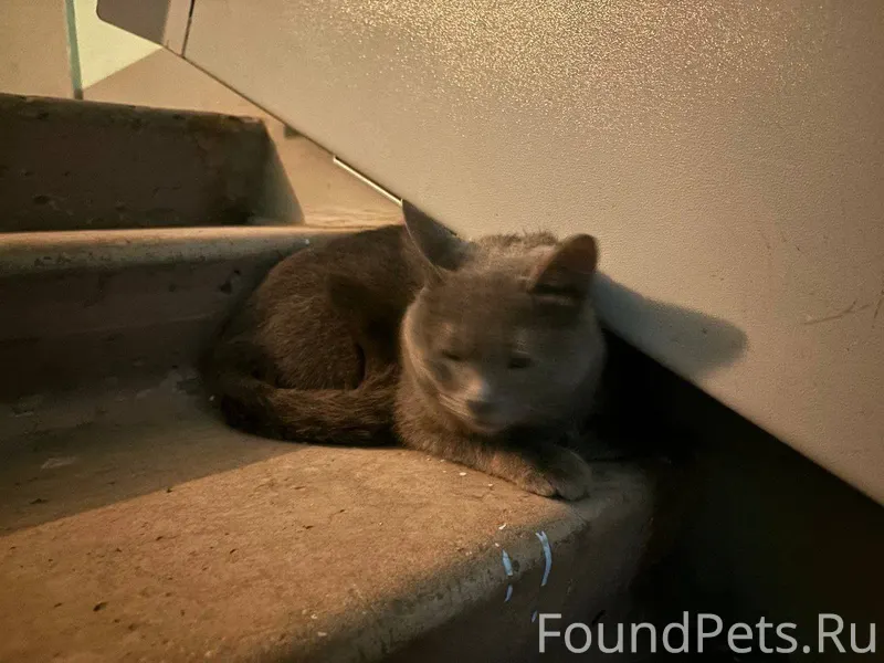 В 16 квартале в районе Автостр...