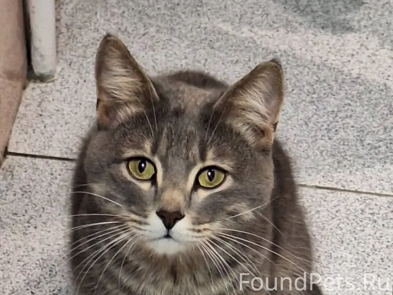 Волгоград, Краснооктябрьский р...