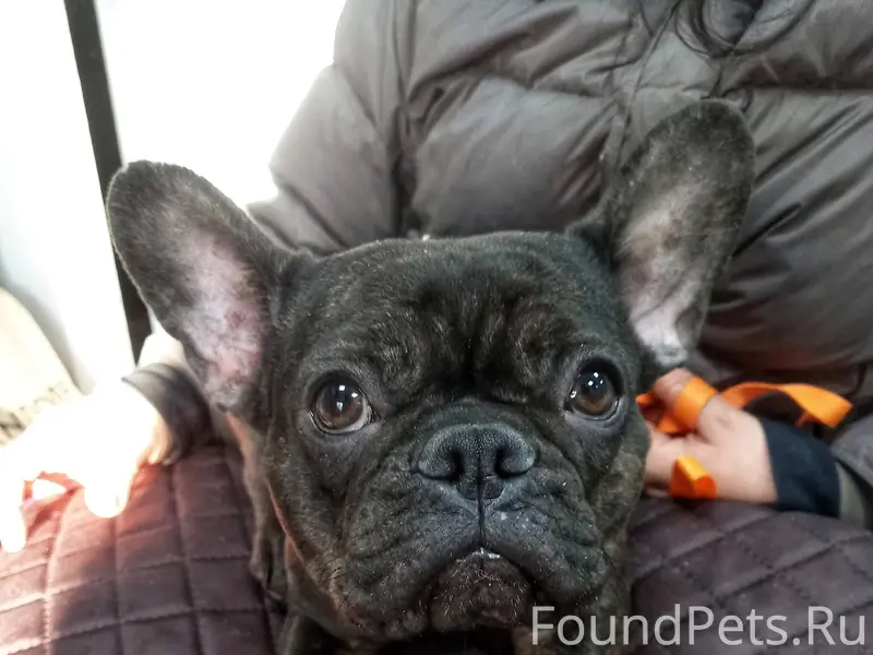 Просим максимальный перепост! ...