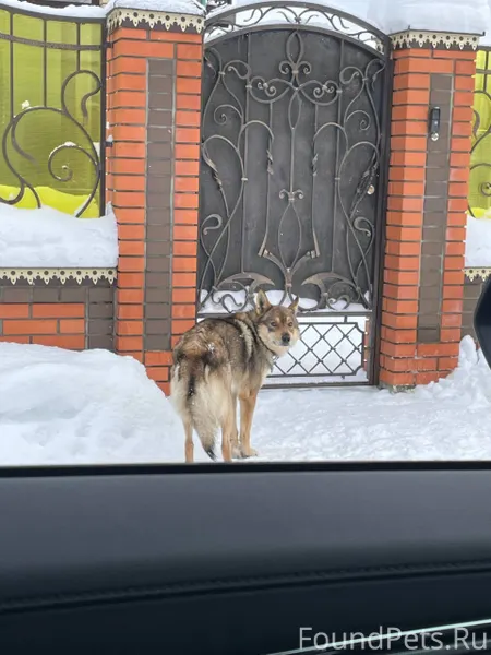 Новатор, переулок Победы, бега...