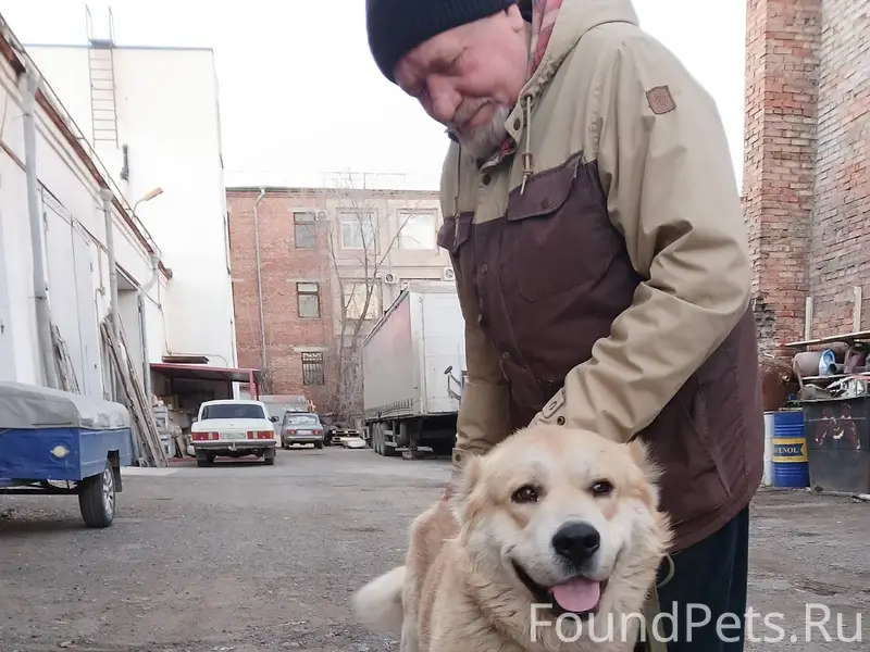 Помогите найти собаку! Сегодня...