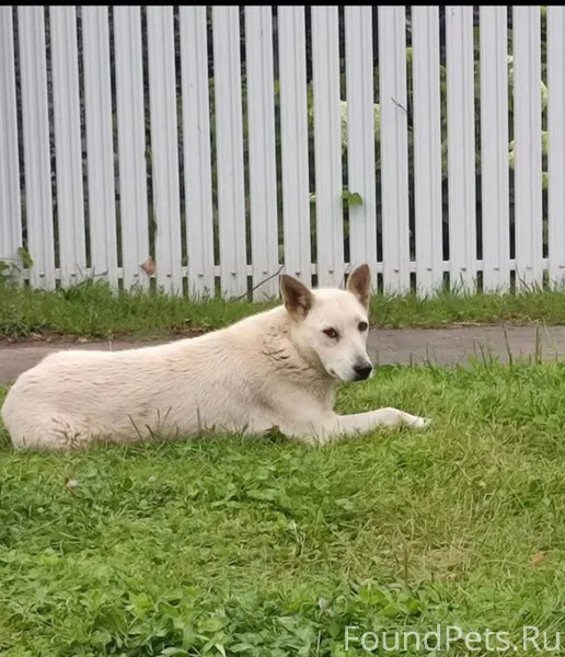 В середине октября рядом с д.....