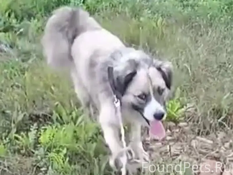 Район Беломестное п. Ямской, п...