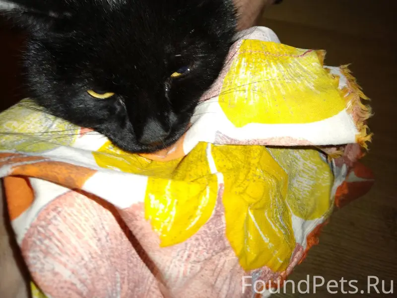 Прилуки!!! Объявление!! Сегодн...